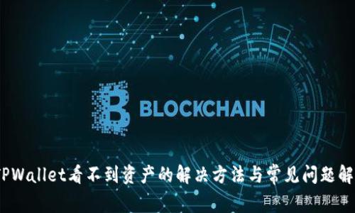 :TPWallet看不到资产的解决方法与常见问题解析