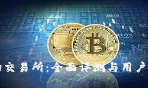 波场交易所：全面评测与用户指南