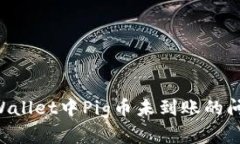 如何解决TPWallet中Pig币未到